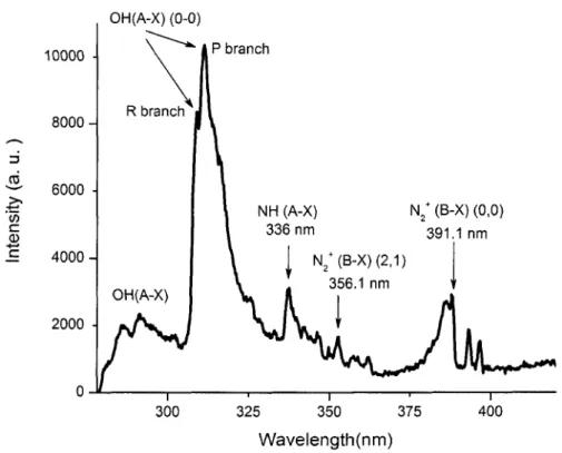 Figure 4.1. Identified bands from a typical spectrum of light emitted from DC discharge for the region between 280 nm and 420 nm
