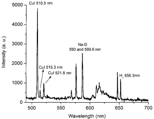 Figure 4.2. Identified lines from a typical spectrum of light emitted from DC discharge for the region between 500 nm and 700 nm
