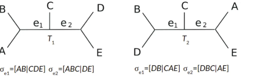 Fig. 3.2. d RF (T 1 ,T 2 ) computed as the symmetric diﬀerence between the trees’ bipartitions.