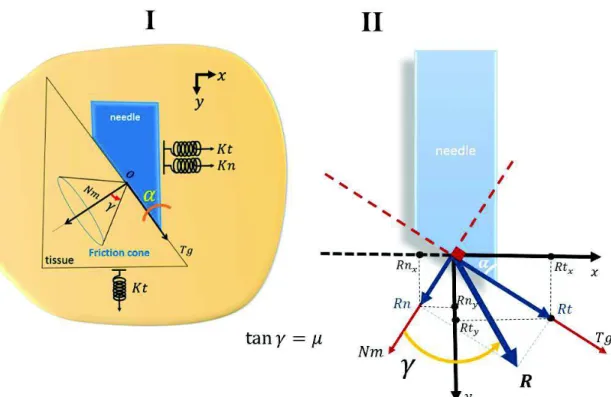 Figure 3.3 - Study of angle and friction cone in the context of needle-tissue interaction