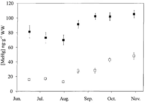 Figure 7. MeHg concentration ± standard error in fish throughout the sampling period for young-of-the-year (•) and yearling (•) rainbow smelt