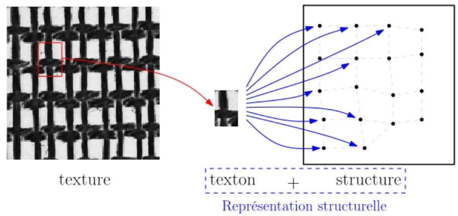 Fig. 2.4 – Représentation structurelle d’une texture. Schéma de principe.