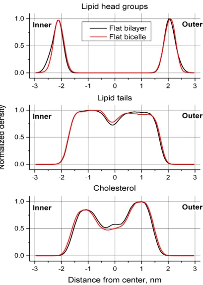 Figure I-4. Profil de densité normalisé des têtes lipidiques, des queues lipidiques et du cholestérol dans le modèle normal sous  forme de bicelle utilisant le protocole de courbure et sous forme de bicouche non contrainte