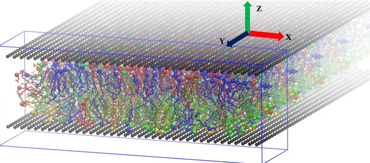 Figure IV-3. Perspective view of the simulated “normal membrane” system. The wall particles are shown as black spheres