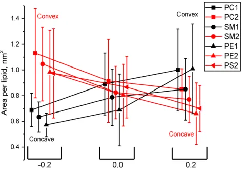 Figure IV-9. Average areas per lipid for all lipid species of inner and outer monolayers as a function of curvature