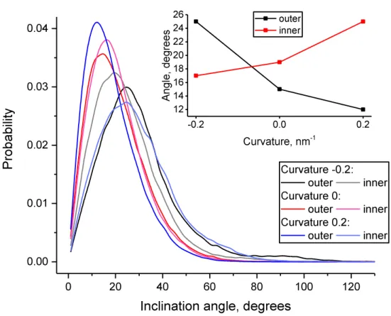 Figure IV-10. Distribution of inclination angles of cholesterol molecules in inner and outer monolayers as a function of the  membrane curvature