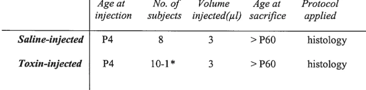 Table I: The group of subjects that were submitted to intravitreal injections using the ‘old’ protocol