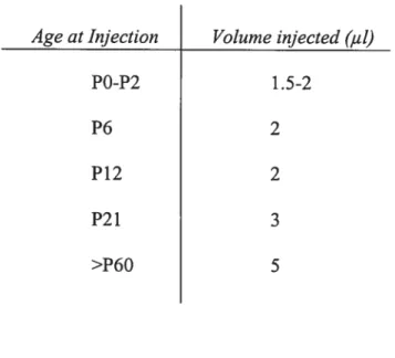 Table III: Volume of an intravitreal injection varied with age of rat. The volume of an intravitreal injection depended on the age of the rat since the size of the eye increased with age.