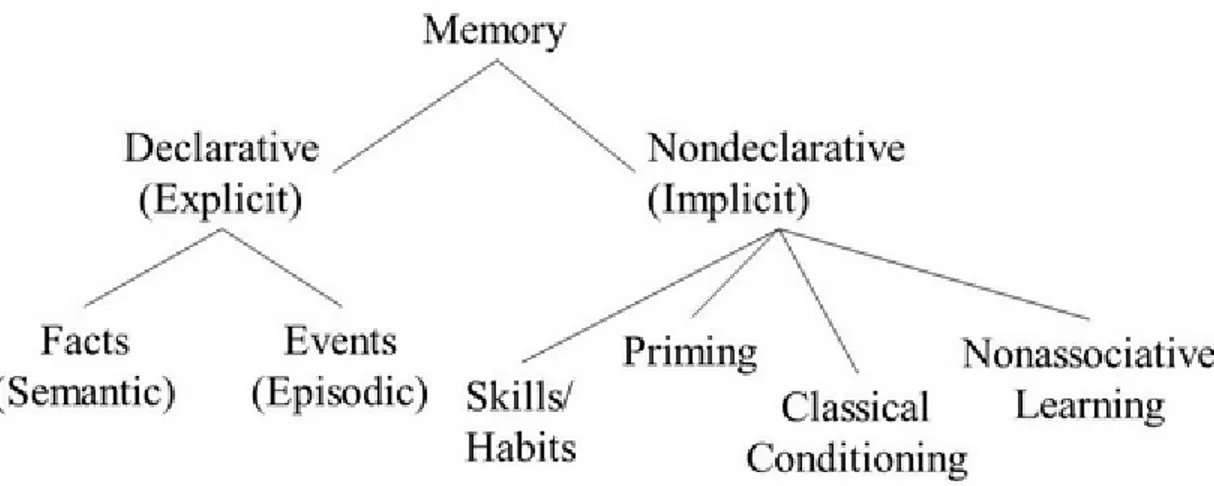 Figure  1.  Tulving’s  model  of  memory  (1993).  According  to  this  model,  our  variable  of  interest (i.e