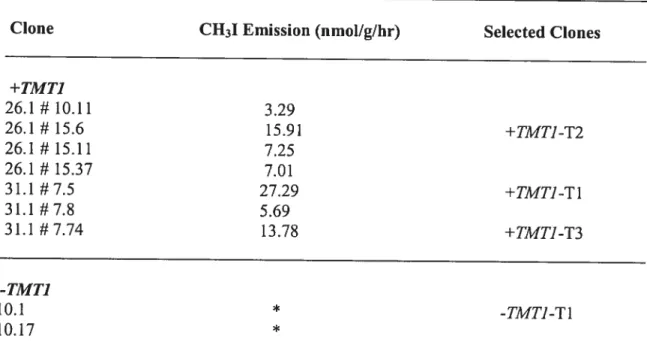 Table 2. Cil3! emission from tobacco root cultures transformed with TMT1 gene.