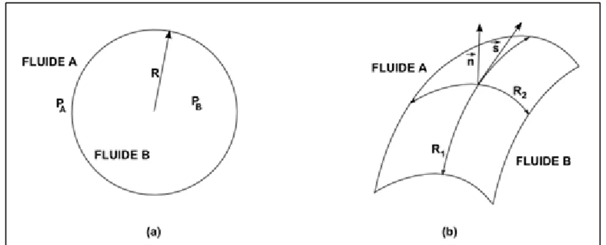 Figure 2 : (a) Représentation d’une bulle sphérique d’un fluide B dans un fluide A ; (b)  Schématisation d’une interface entre un fluide A et B et de ses rayons de courbure principaux 