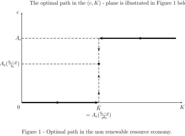 Figure 1 - Optimal path in the non renewable resource economy.