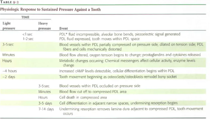 Table II Physiologic response to sustained pressure against a tooth 22