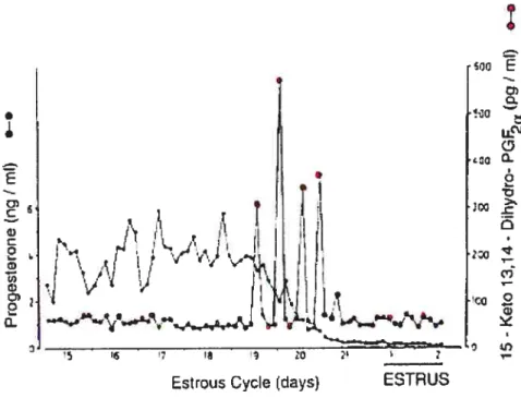 Figure 1: Concentration of 15-keto-13, 14-dihydroprostaglandin F2Œ metabolite (PGFM) in the peripheral plasma of a cyclic cow during luteolysis