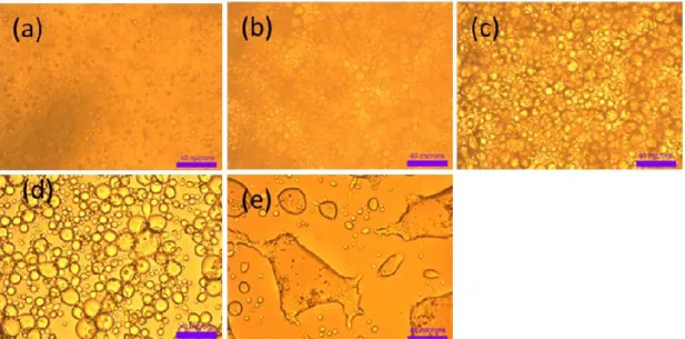 Figure 3.4 Microscopy images of nBu-PNIPAM methanol/water solution with methanol  molar composition 0.308 as a function of time: 1 min (a), 18 min (b), 52 min (c), 8 h (d), 2  d (e)