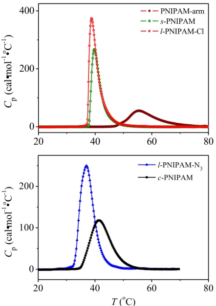 Figure 2.5 Heat capacities of s-PNIPAM, l-PNIPAM-Cl, and PNIPAM-arm (top); and c- c-PNIPAM and l-c-PNIPAM-N 3  (bottom) in water (1.0 g·L -1 ) at a heating rate of 1.0 ºC·min -1 