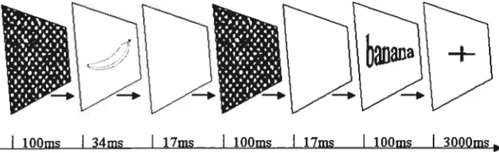 figure 1: Graphïcal representation of behavioral paradigm