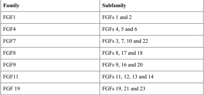 Table  2.  Human  FGF  gene  families.  Members  of  each  subfamily  share  increased  sequence  similarity and biochemical and developmental properties (Itoh and Ornitz 2004)
