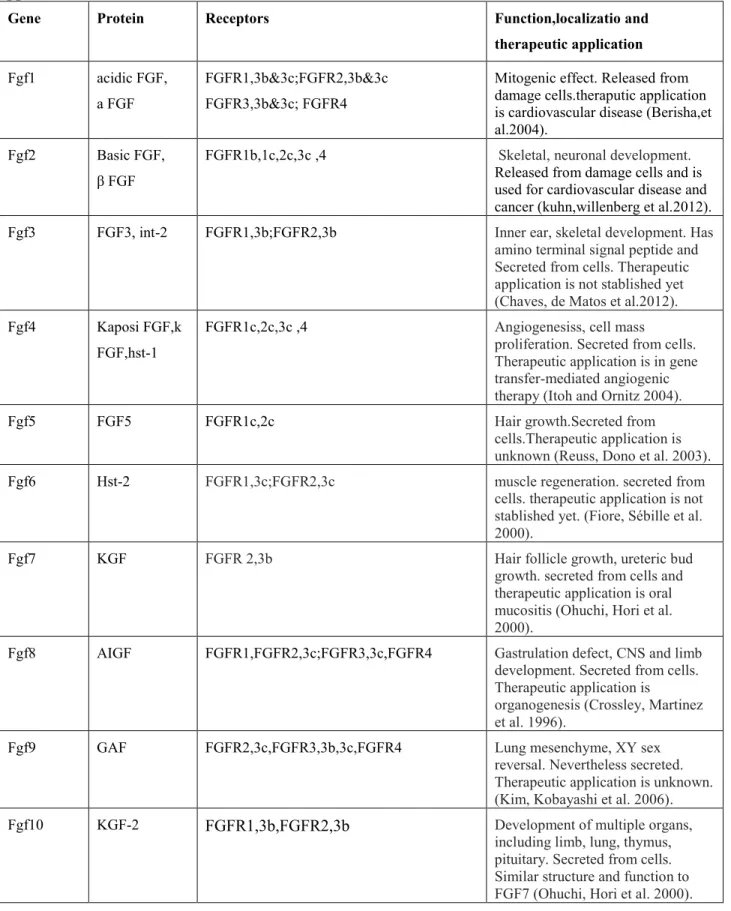 Table  3.  Human  (FGF1–14,  16–23)  gene,  protein,  function,  localization  and  therapeutic  application 