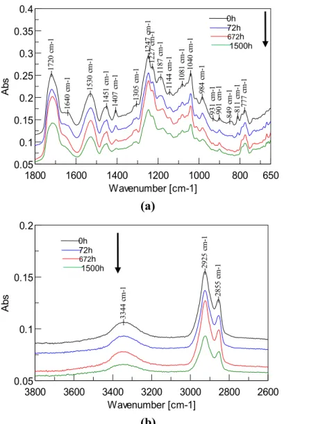 Figure 4 ATR-FTIR analysis of acrylic polyurethane coating containing bark extract and lignin  stabilizer for different exposure times (a) 1800-650 cm -1  and (b) 3800-2600 cm -1