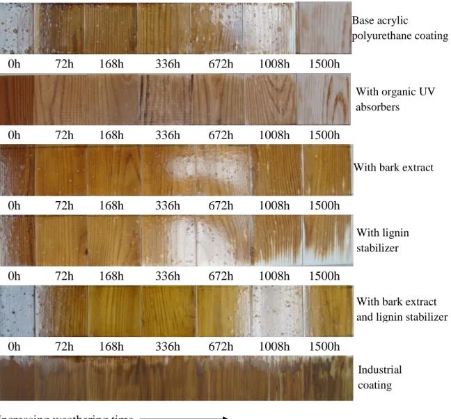 Figure 3 Visual assessment of coated heat-treated jack pine for different weathering times 