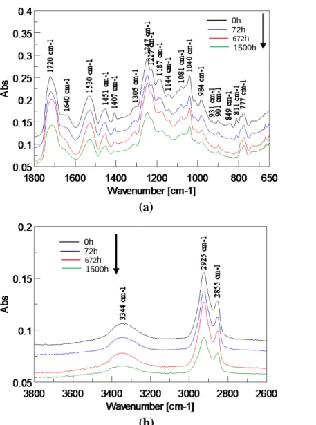 Figure 4 ATR-FTIR analysis of acrylic polyurethane coating containing bark extract and lignin  stabilizer for different exposure times (a) 1800-650 cm -1  and (b) 3800-2600 cm -1