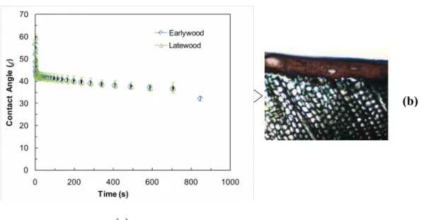 Figure 2   Acrylic polyurethane coating containing bark extract and titania nano particles   (a) comparison of contact angle change with time on early wood and late wood regions; penetration characteristic of (b) early wood jack pine studied using fluoresc