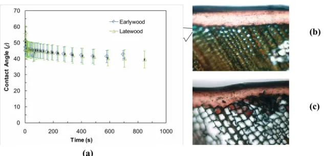 Figure 3 Acrylic polyurethane coating containing bark extract and zinc oxide nano particles (a) comparison of contact angle change with time for early wood and late wood region; penetration characteristic  of (b) late wood (c) early wood jack pine studied 