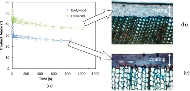 Figure 1 compares the early wood and late wood dynamic contact angles for the acrylic  polyurethane coating containing bark extract and titania micro particles
