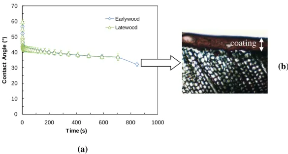Figure 2  Acrylic polyurethane coating containing bark extract and titania nano particles  (a)  comparison of contact angle change with time on early wood and late wood regions; penetration  characteristic of (b) early wood jack pine studied using fluoresc