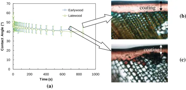 Figure 3 Acrylic polyurethane coating containing bark extract and zinc oxide nano particles (a)  comparison of contact angle change with time for early wood and late wood region; penetration  characteristic  of (b) late wood (c) early wood jack pine studie