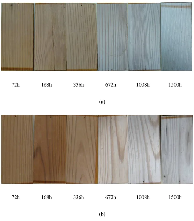 Fig. 7.  Heat-treated jack pine coated with (a) titania sol containing Tinuvin5236, (b) titania  sol containing Tinuvin5236 and Lignostab at different weathering times 