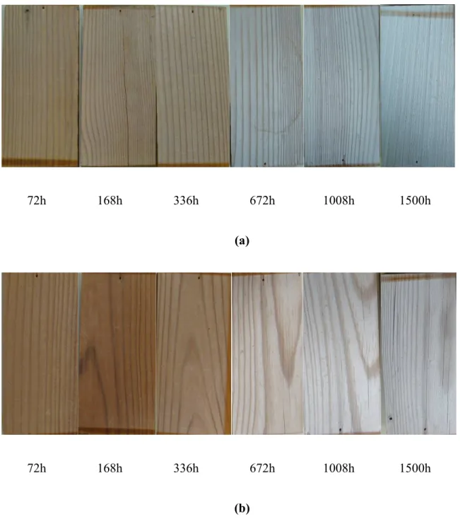 Fig. 7.  Heat-treated jack pine coated with (a) titania sol containing Tinuvin5236, (b) titania  sol containing Tinuvin5236 and Lignostab at different weathering times
