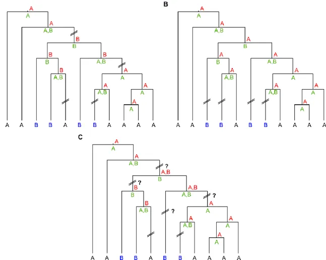 Figure 8. Exemple d’application des algorithmes ACCTRAN, DELTRAN et DOWNPASS. 