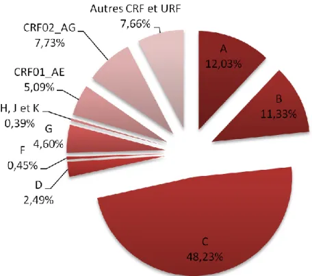 Figure 20. Distribution globale des variants génétiques du groupe M du VIH-1 sur la période 2004-2007