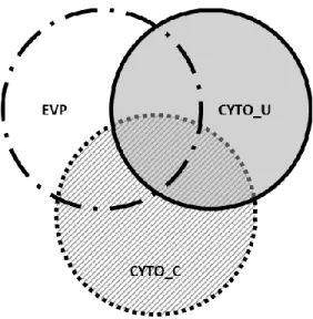 Figure  6  –  Schéma  inspiré  d’Osawa  et  coll.  (2011)  représentant  les  pathologies  inflammatoires  reproductrices  observées  à  cinq  semaines  après  la  parturition  soit  l’écoulement  vaginal  purulent  (EVP;  région  blanche),  l’endométrite 
