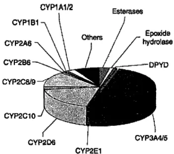 Figure 6 : Isoformes du  P450  CVP1A112 