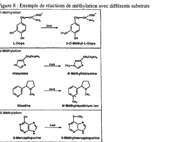 Figure 8 : Exemp1e de réactions de méthylation avec différents substrats 