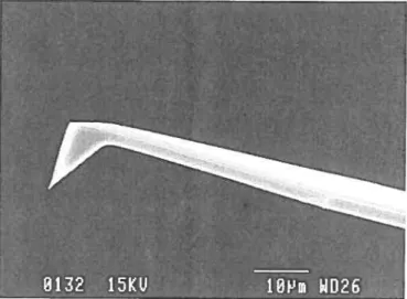 Figure 1.3 : Image d’une sonde AFM obtenue par microscopie électronique à balayage.
