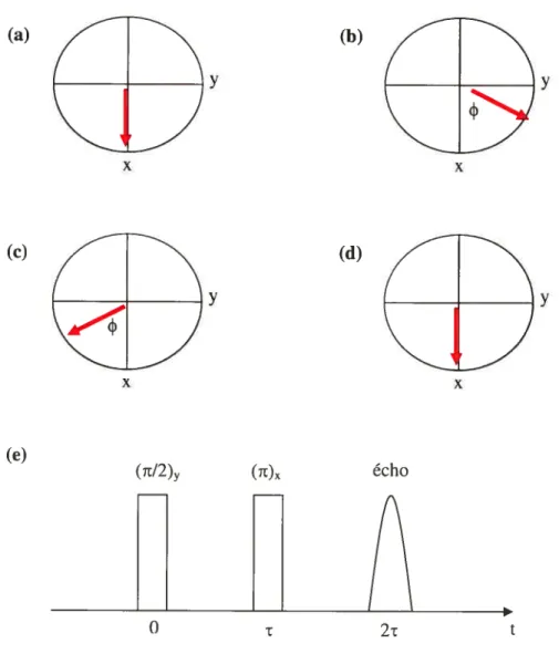 Figure 1.6 Séquence d’écho de spin: ta) 1=0, (b) 0&lt;t&lt;t, (c) t=t, (d) t=2r, (e) récapitulatif des opérations en fonction du temps.