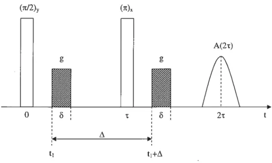 Figure 1.7 : Séquence de gradient de champ pulsé avec écho de spin.