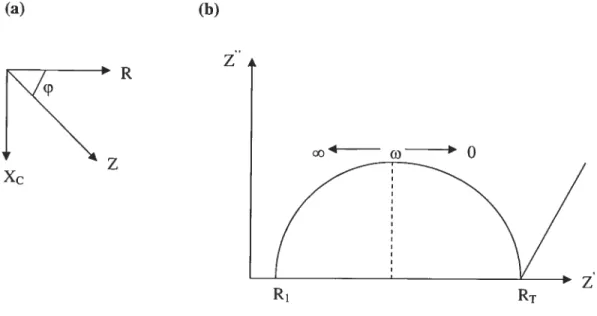 Figure 1.9 : (a) Représentation vectorielle de l’impédance dans te plan complexe. (b) Diagramme de Nyquist de l’impédance dans un domaine de fréquences.