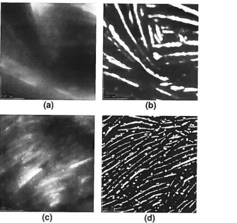Figure 2.2: 2im x 2im AFM images ofa PEO:LiTFSI 20:1 film grown from acetonitrile [(a) topography and (b) phase imageJ and methyl formate [(c) topography and (d) phase image].