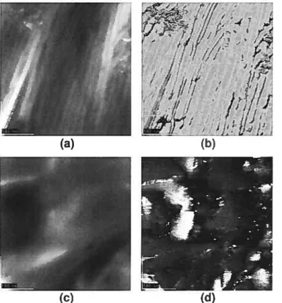 Figure 2.4: 2tm x 2tm AFM images of a PEO:LiBf4 20:1 film grown from acetonitrile [(a) topography and (b) phase image] and methyl formate [(c) topography and (d) phase image].