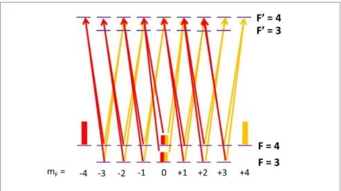 Figure II-9 : Schéma de polarisation circulaire droite (