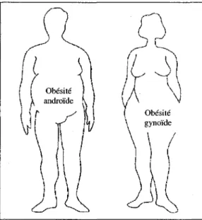 Figure 1 : Schéma représentant les deux types d'obésité ; androïde et gynoïde.