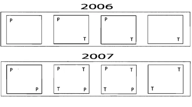 Figure  3.3  : Schéma comparatif de  la répartition des  semis dans  les  pots en 2006  et en  2007 (P : roseaux; T : quenouilles)