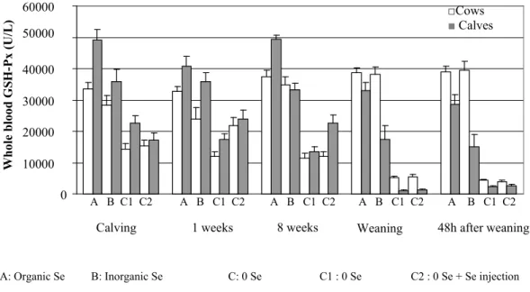 Figure 7: Whole blood GSH-Px (U/L) comparison between cows and their calves. 