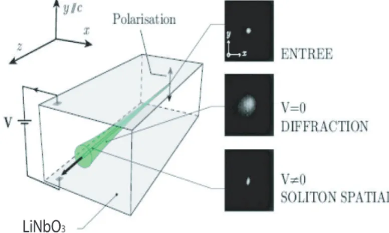 Figure 1.17 – Observation expérimentale de la formation d’un soliton braillant 2-D sous un champ appliqué dans le LiN bO 3 [75].
