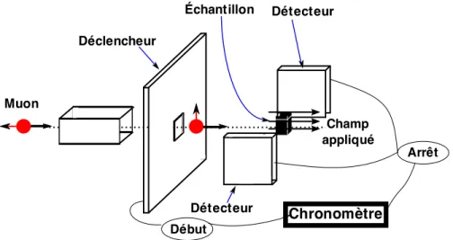 Figure 2.5: Les muons polarisés à 90 degrés par l’application d’un champ magnétique passent un déclencheur qui active le chronomètre